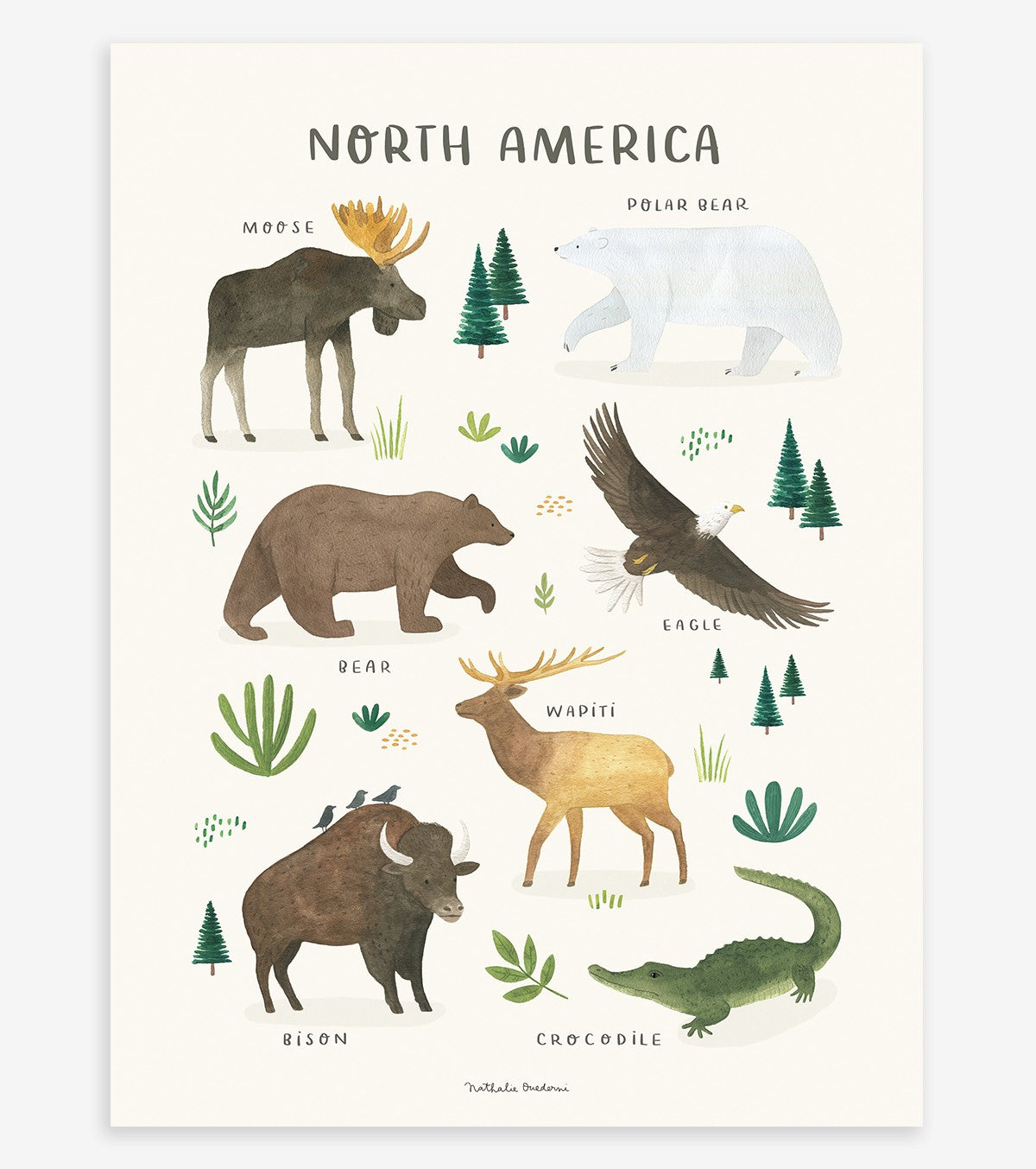 LIVING EARTH - Póster infantil - Animales de América del Norte