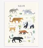 LIVING EARTH - Póster infantil - Animales asiáticos