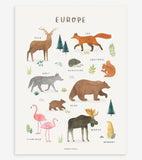 LIVING EARTH - Póster infantil - Animales de Europa