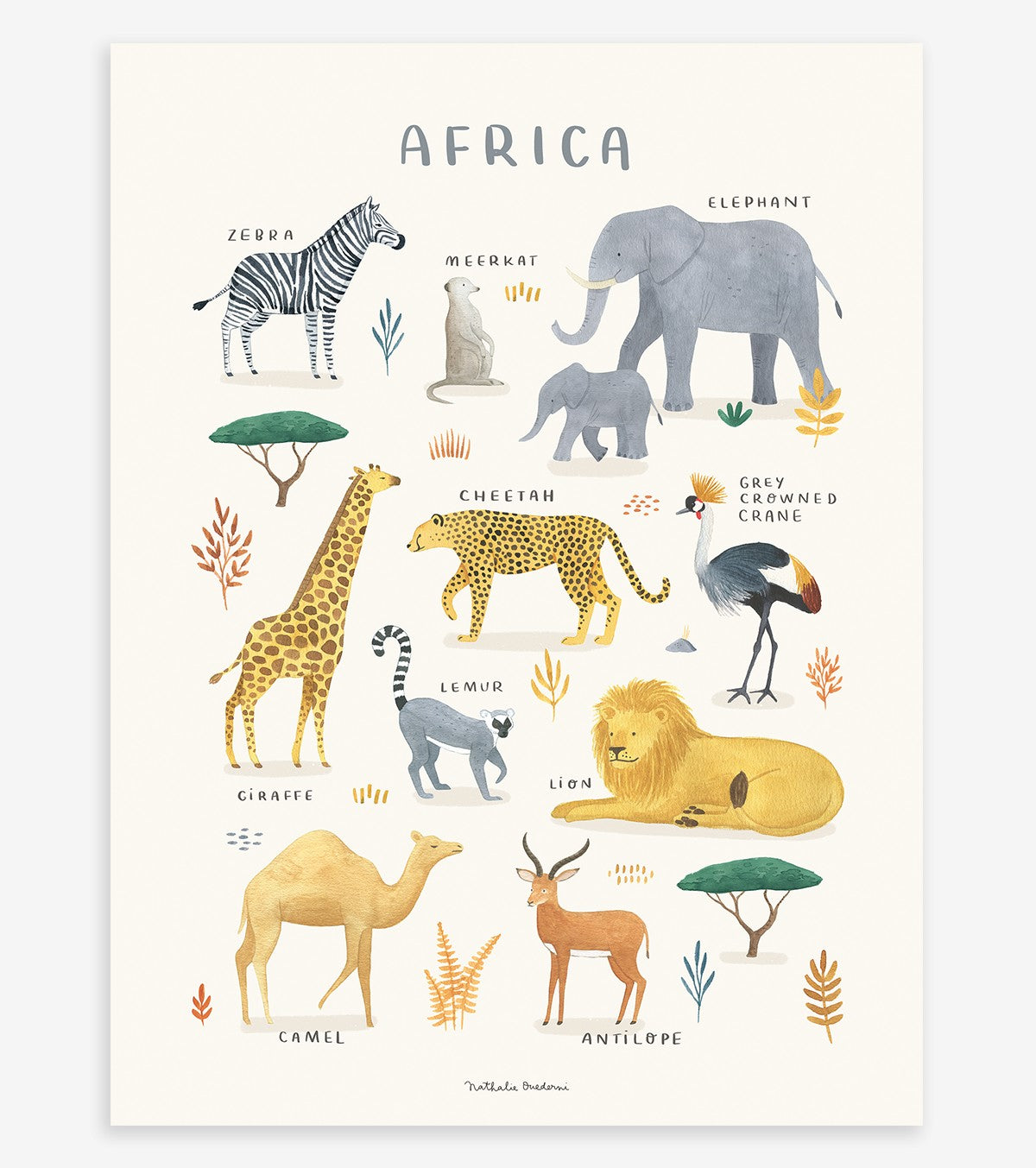 LIVING EARTH - Póster infantil - Animales africanos