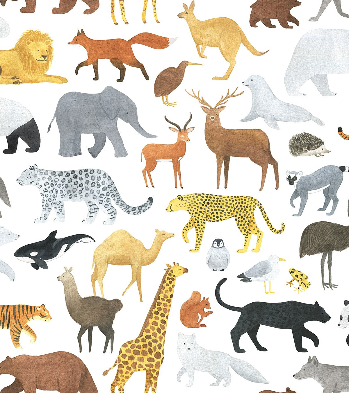 LIVING EARTH - Papel pintado infantil - Motivo animal