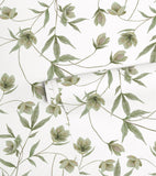 WELLINGTON - Papel pintado infantil - Motivo floral Hellebore