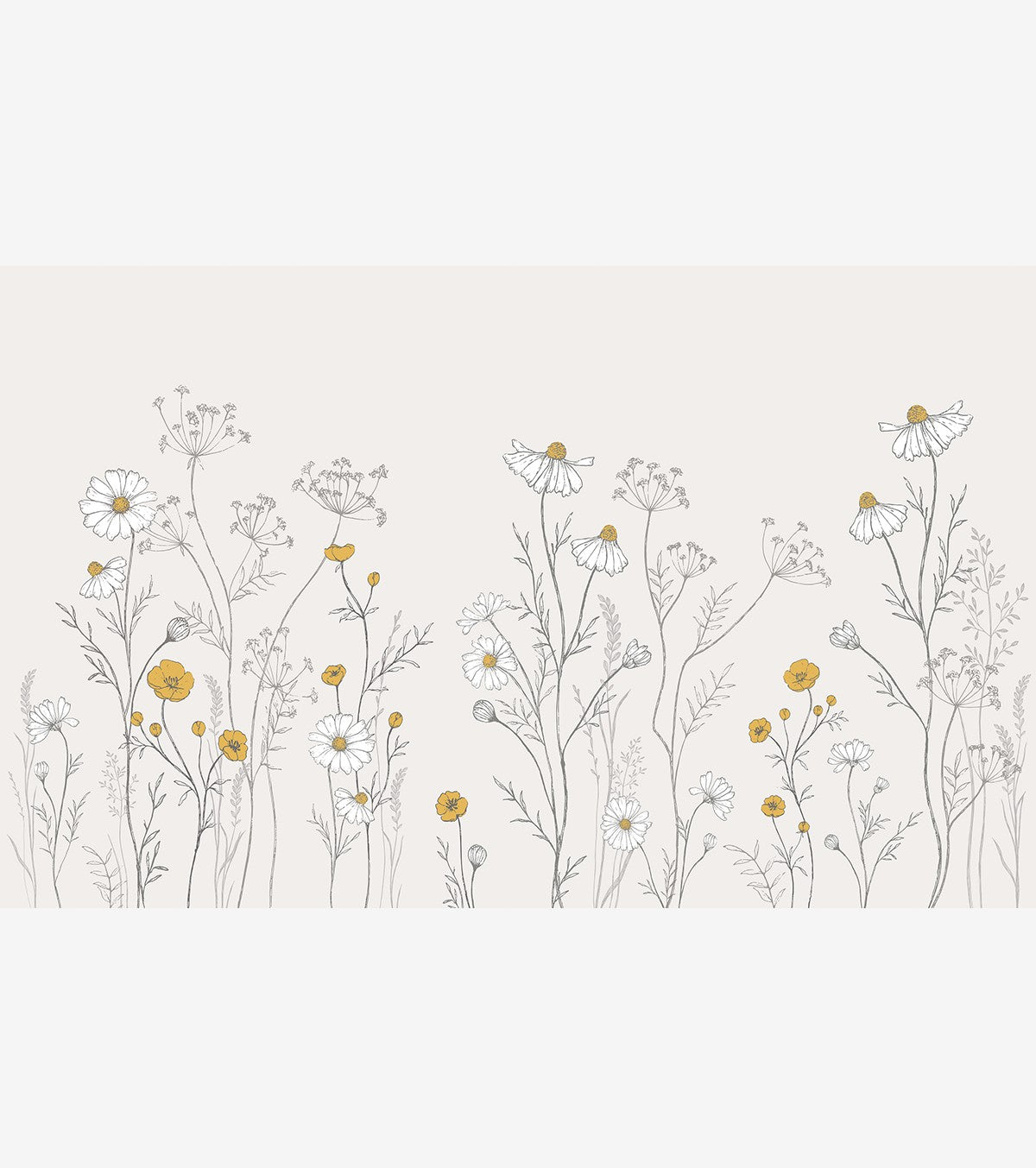 CHAMOMILE - Papel pintado panorámico - Flores de manzanilla