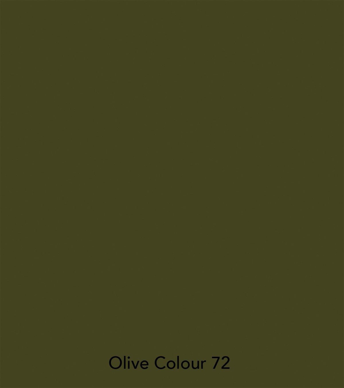 Pintura Little Greene - Oliva oscuro (72)