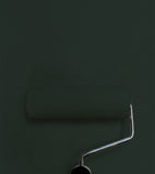 Pintura Little Greene - Verde obsidiana (216)